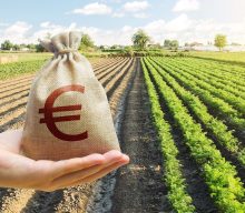 LUAA seminaras „ES paramos galimybės uogininkystės ūkiams 2023 metais“